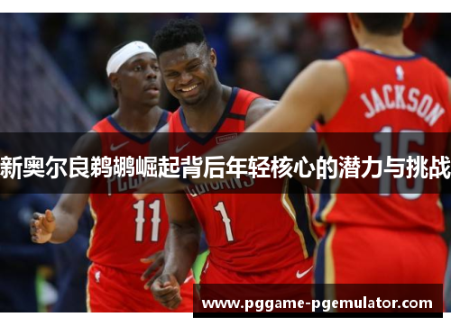 新奥尔良鹈鹕崛起背后年轻核心的潜力与挑战