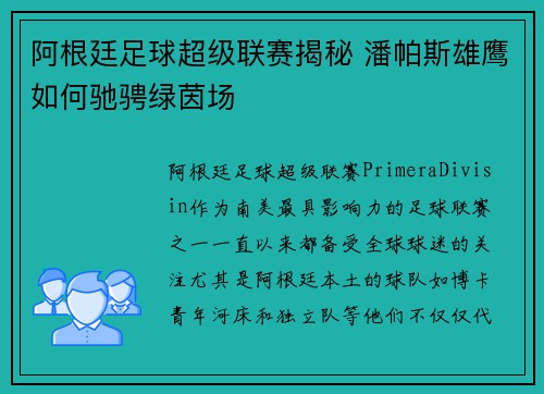 阿根廷足球超级联赛揭秘 潘帕斯雄鹰如何驰骋绿茵场